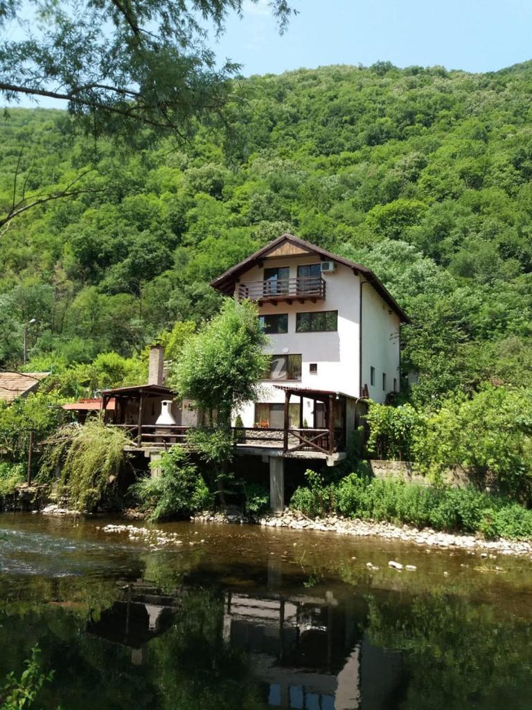 Casa Vivian Hotel Băile Herculane Exterior foto